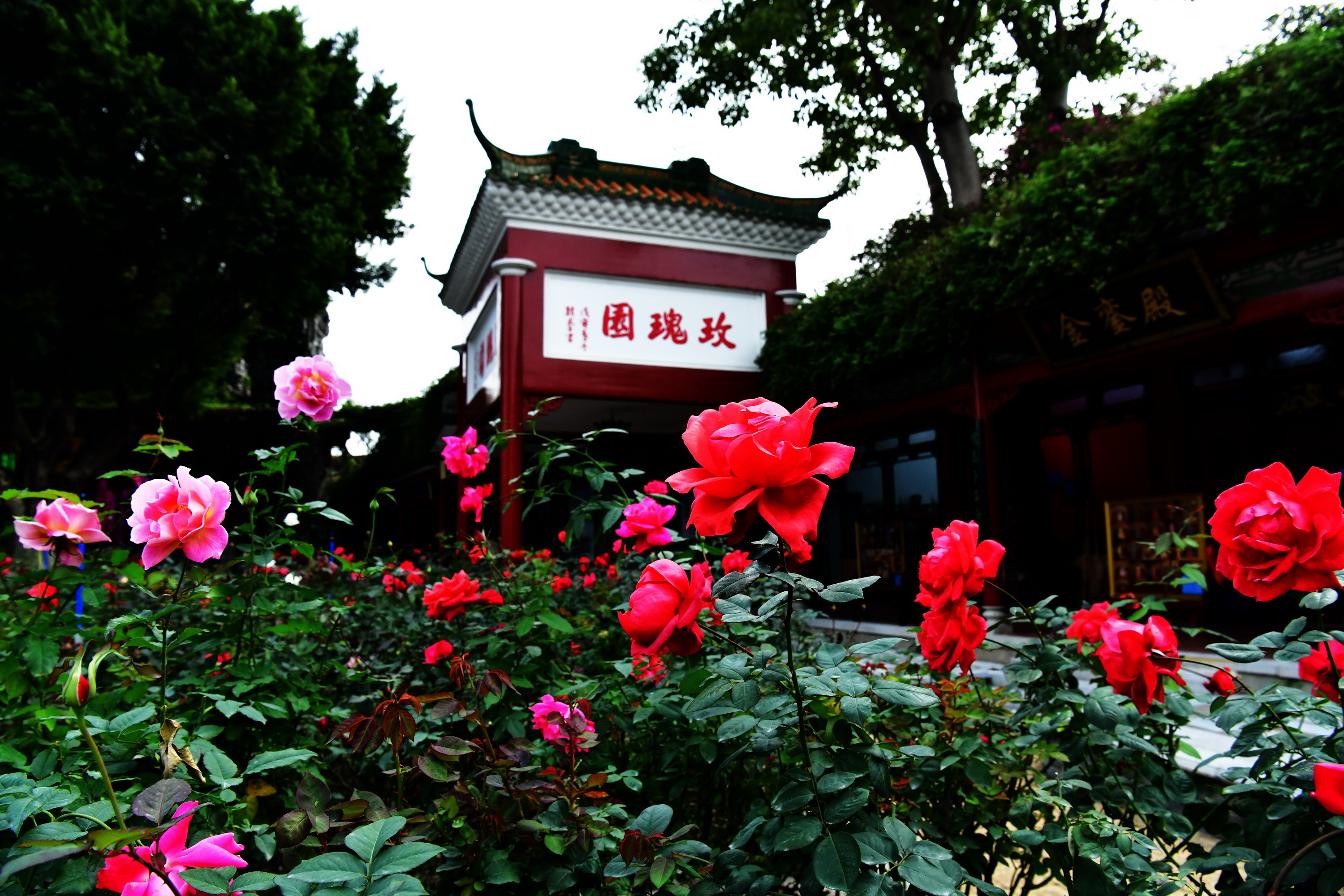 广州市番禺区宝墨园攻略,广州宝墨园景观