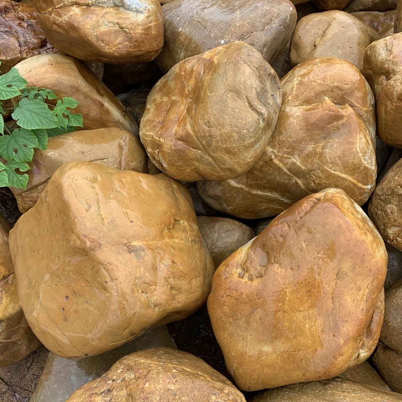 黄蜡石一般在哪形成,黄蜡石园林景观石