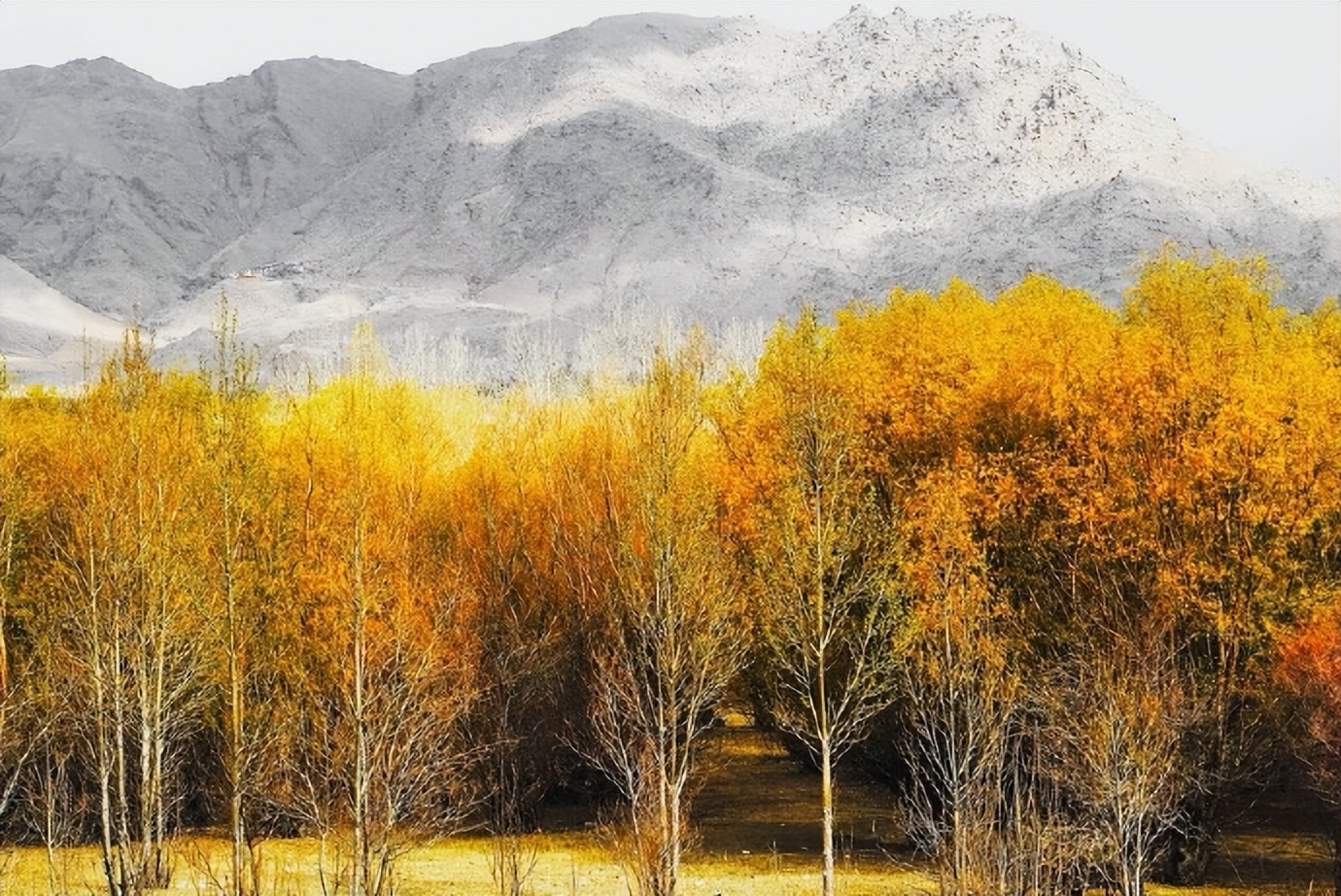 婆媳关系从来都不是尊老爱幼,婆媳之间关系不好正常吗