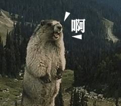 警惕4小时内被骗40万,紧急提醒已有人被骗了