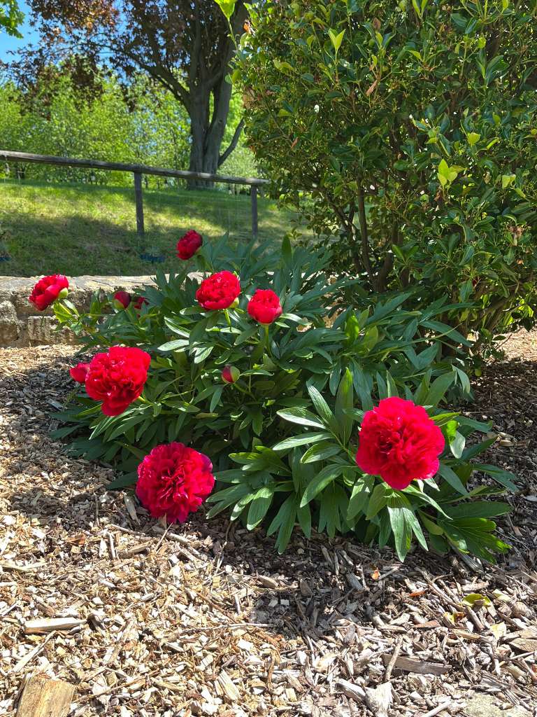 独居女生的心里话,独居一个人的句子说说心情