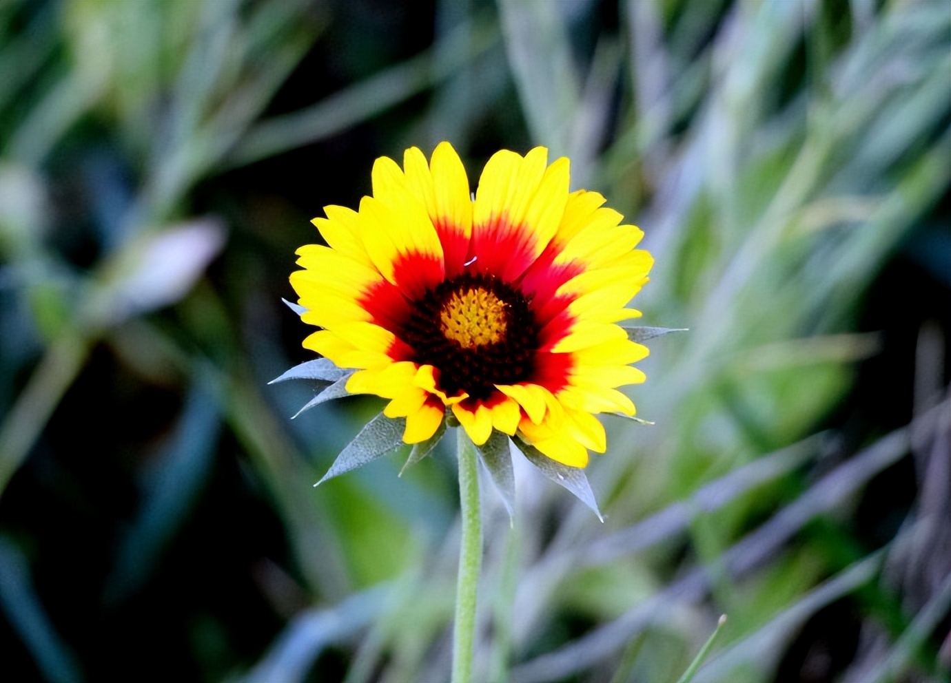 浣撴鍓嶄竴澶╁皬閰屽彲浠ュ悧,浣撴鍠濋厭