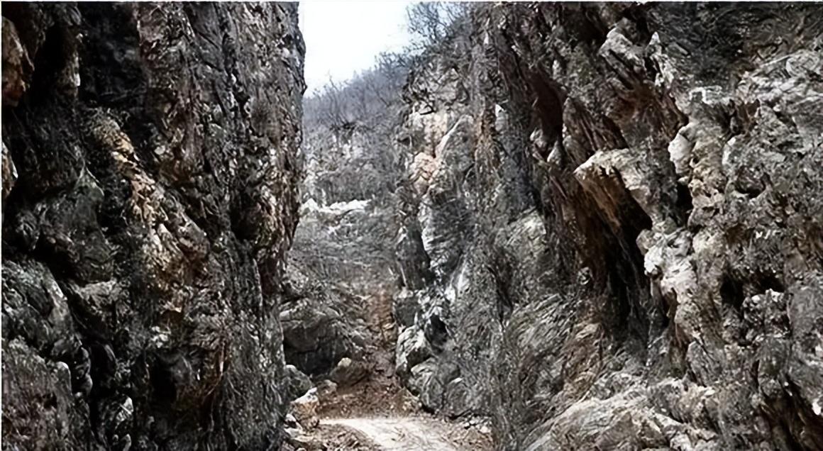 八路军女兵被敌人杀害,中国女兵被日本老兵杀害