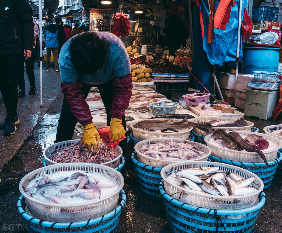 厦门网红圣地在哪,厦门去哪里可以成为网红