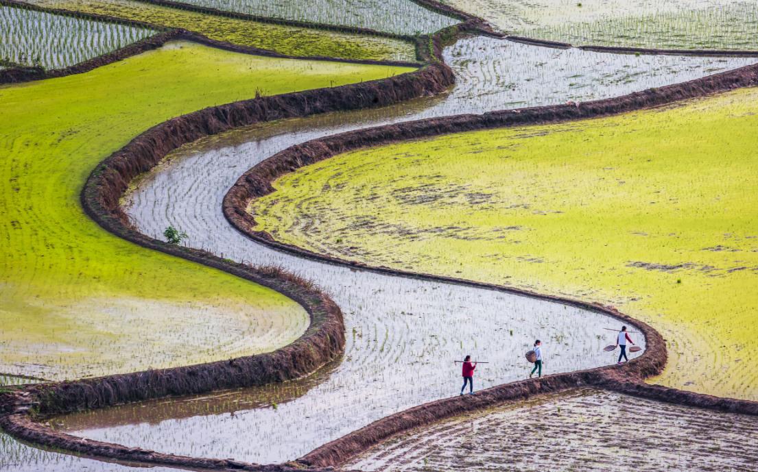 闰月为什么不闰腊月和正月,农历为啥要闰月