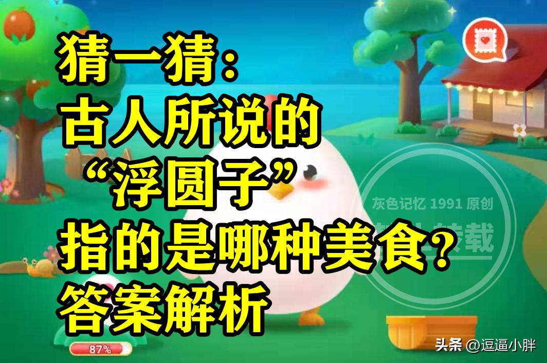 古人说的浮园子指的是哪种美食,古代的浮圆子是什么美食