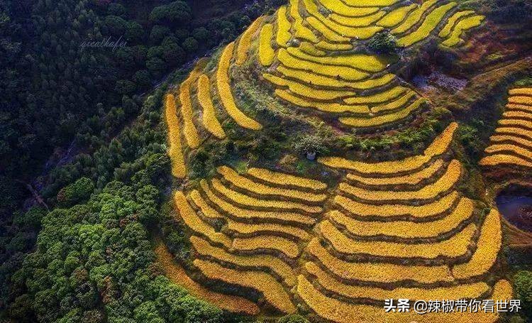 惠州市海岸线,惠州的海岸线