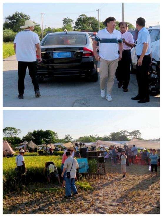 漓江边的“水淹田”,不仅是“稻坚强”,竟还传出天籁之音