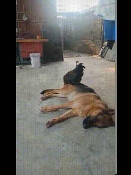 大街上看到的一幕万万想不到,大街上的一幕视频