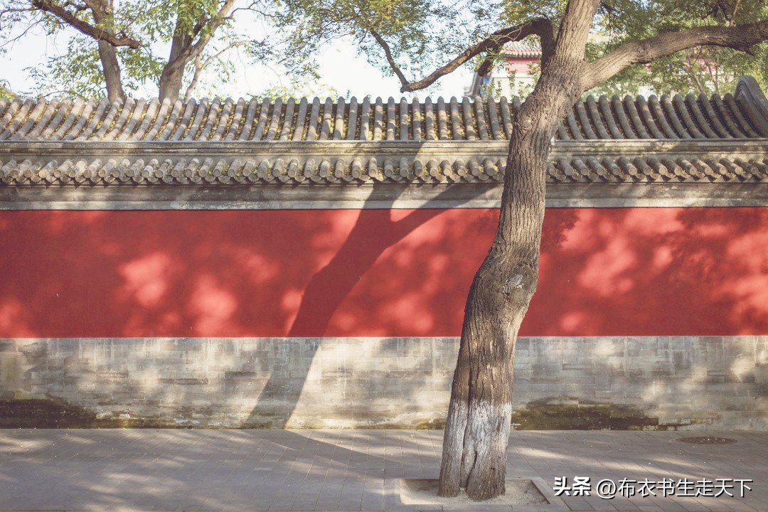 阑尾炎保守治疗后的十大禁忌,阑尾炎的治疗常识