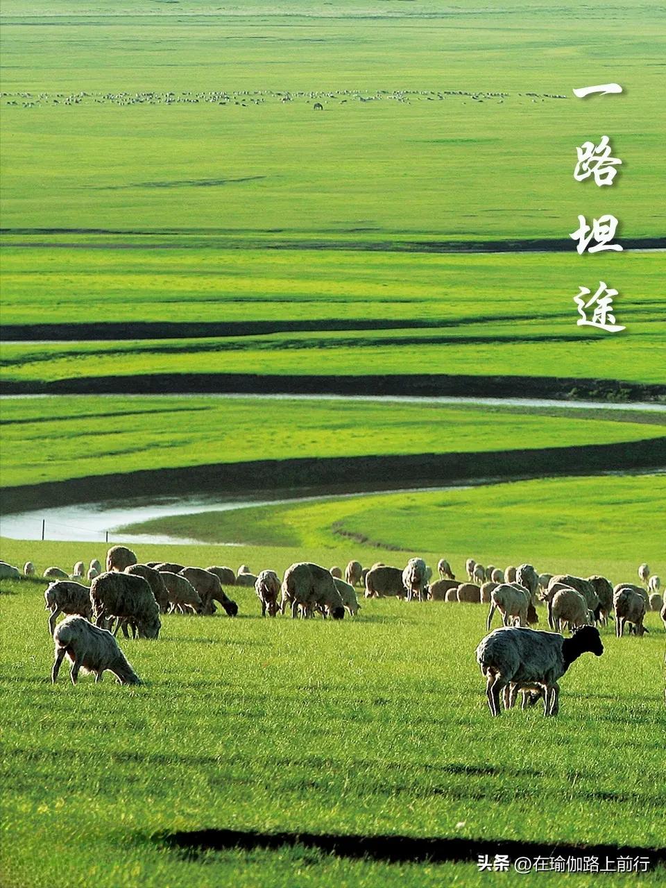 fitt原则美国,fitt原则运动