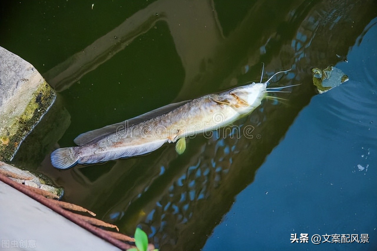 轮船港滨水公园什么时候建好,轮船港滨水公园