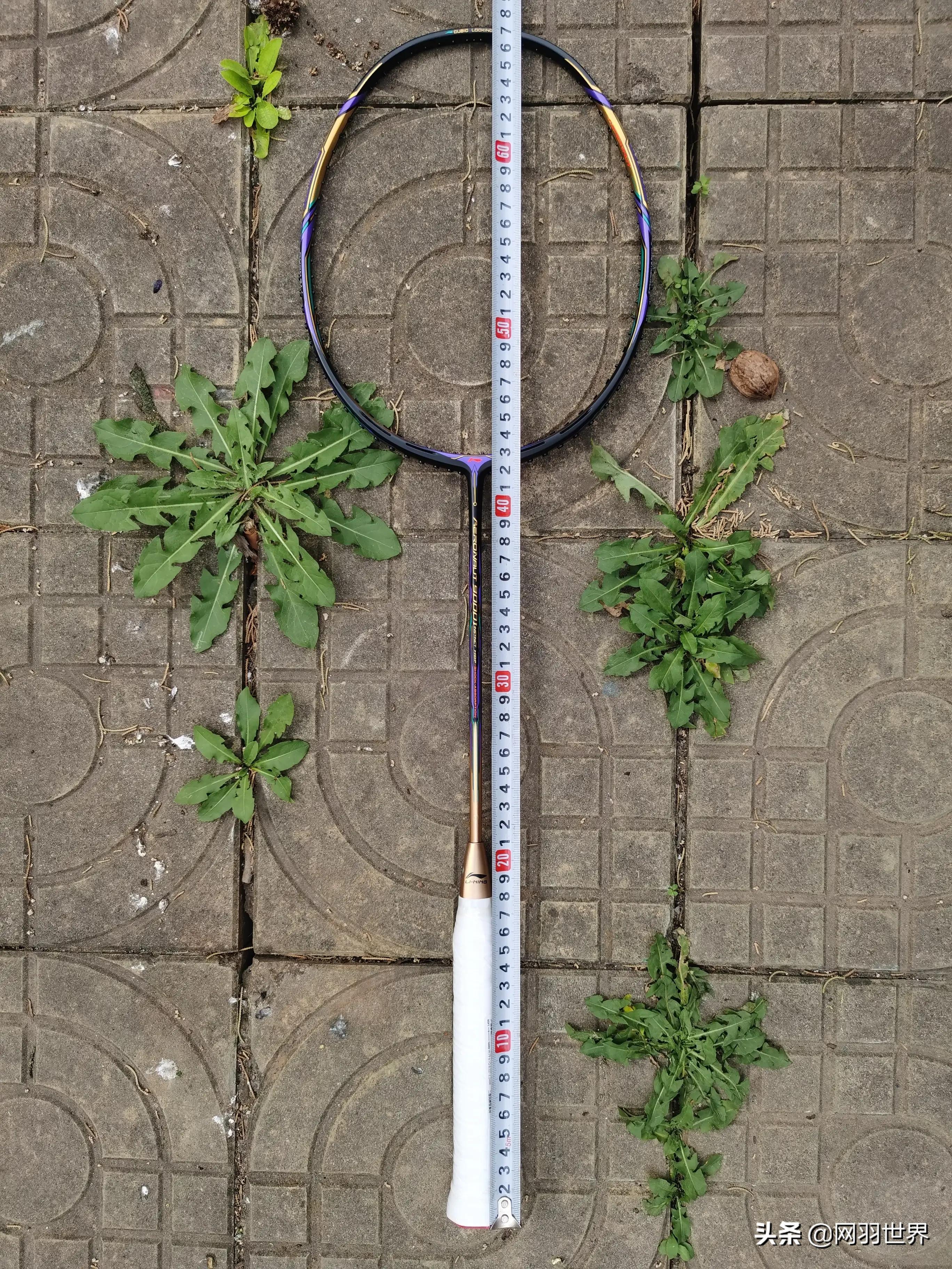 李宁羽拍天花板，贵不贵？你们说的算