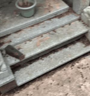 民警遇已故缉毒犬相似狗狗泪崩,民警发现酷似已故缉毒犬