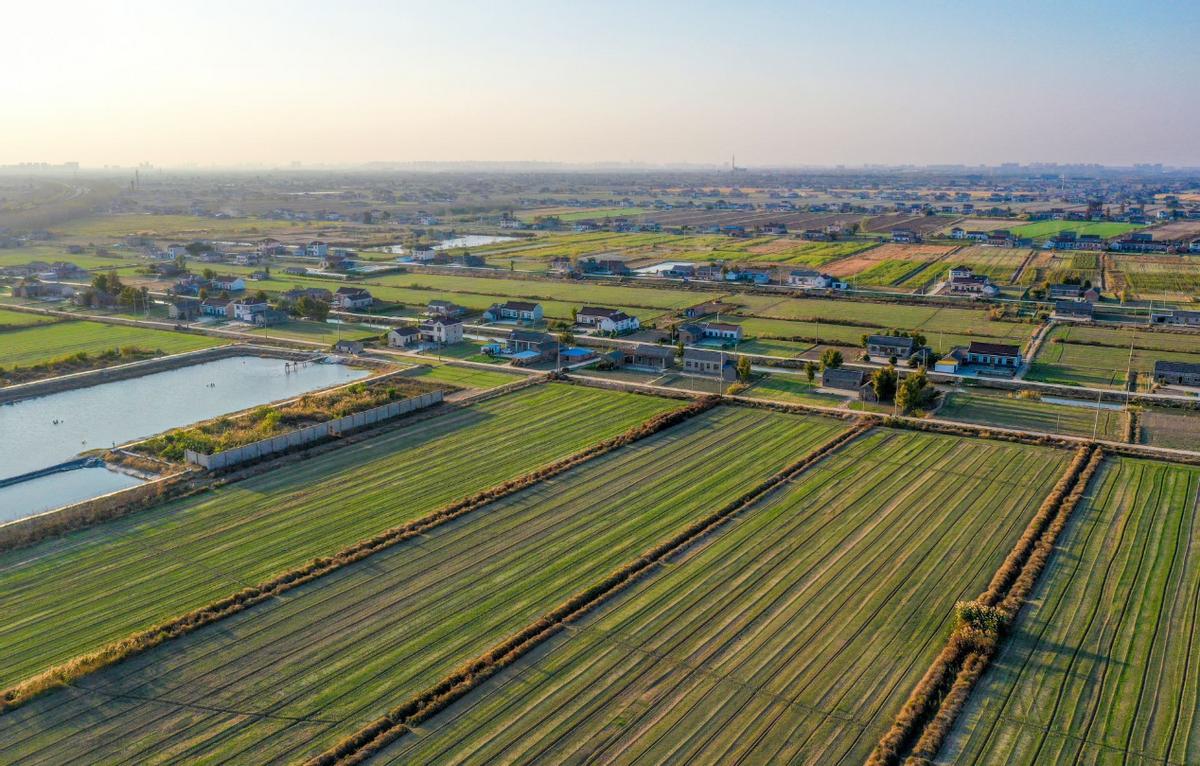 不想打工了在农村做点什么生意好,2019农民打工出路