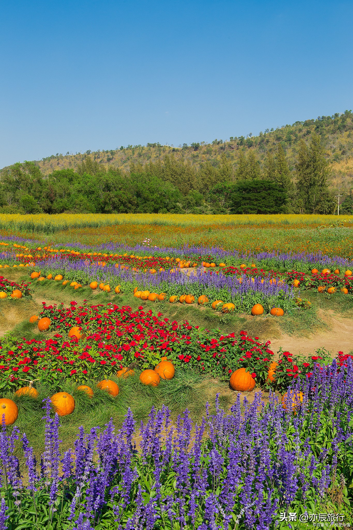 包头必去十大景点推荐,包头市区旅游必去十大景点