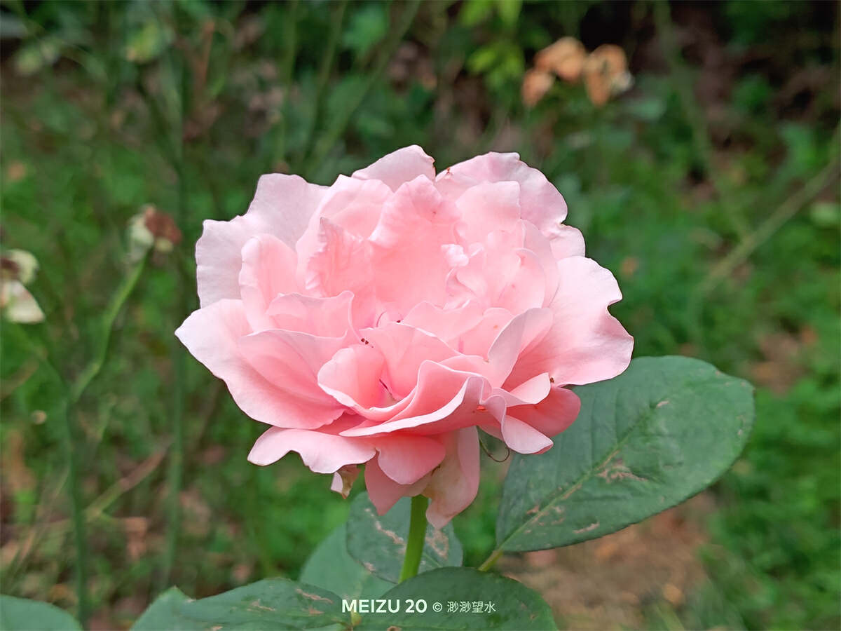 魅族20全系列深度测评,魅族20体验一段时间优缺点总结