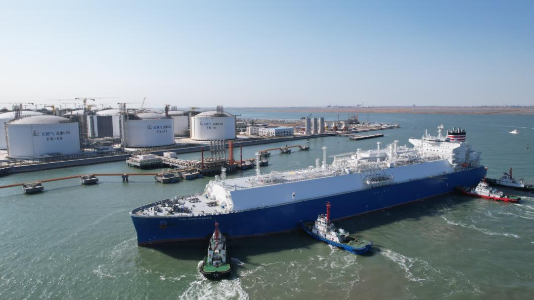 泰达最新通知,今日泰达公告