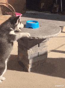 “你以为女生睡觉都是靠着男票？为你解锁更多姿势！”