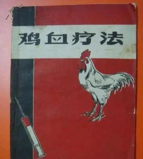 打鸡血的起源和作用,六十年代打鸡血治病