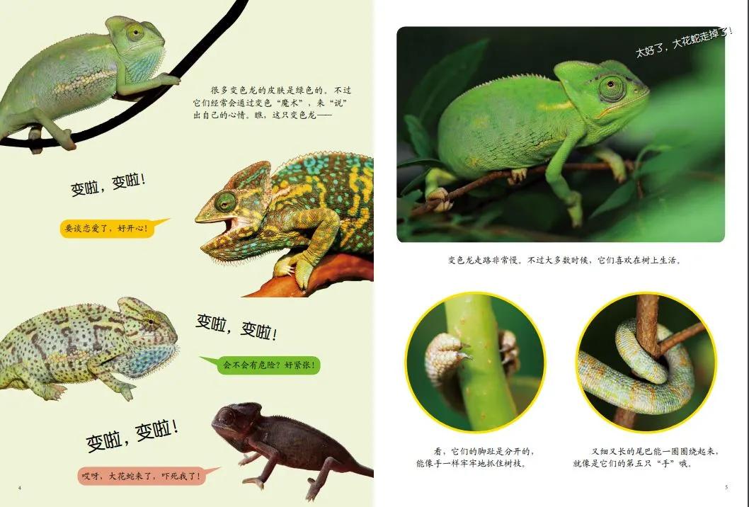 23年口碑验证，一天不到一元，让孩子爱上阅读