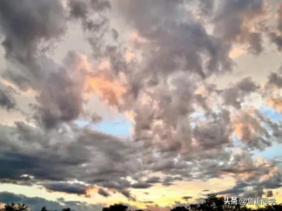 入伏这天天气预示什么,出伏当天天气好是啥预兆