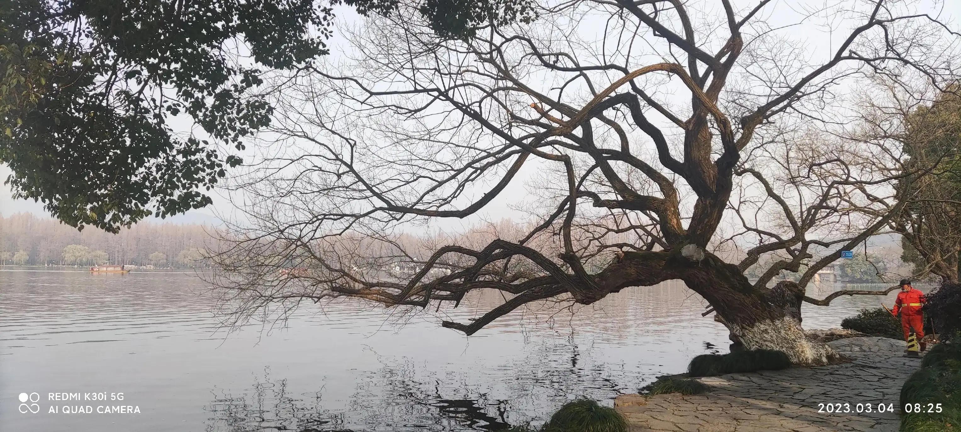 曲院风荷和苏堤断桥的位置,走遍西湖旅游攻略