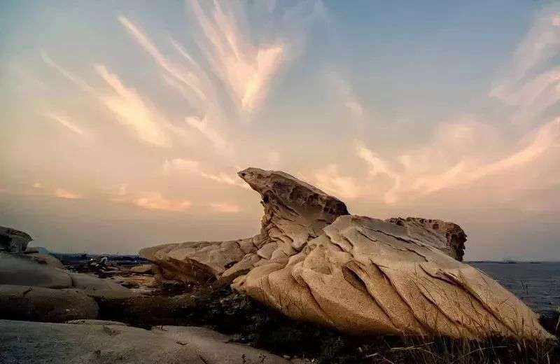 福建七位70后大叔白手起家逆袭,90后小伙创业身价40亿