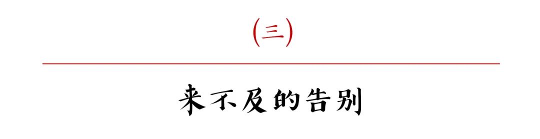 没想到这次分别竟是永别,没想到这次分开就是永别