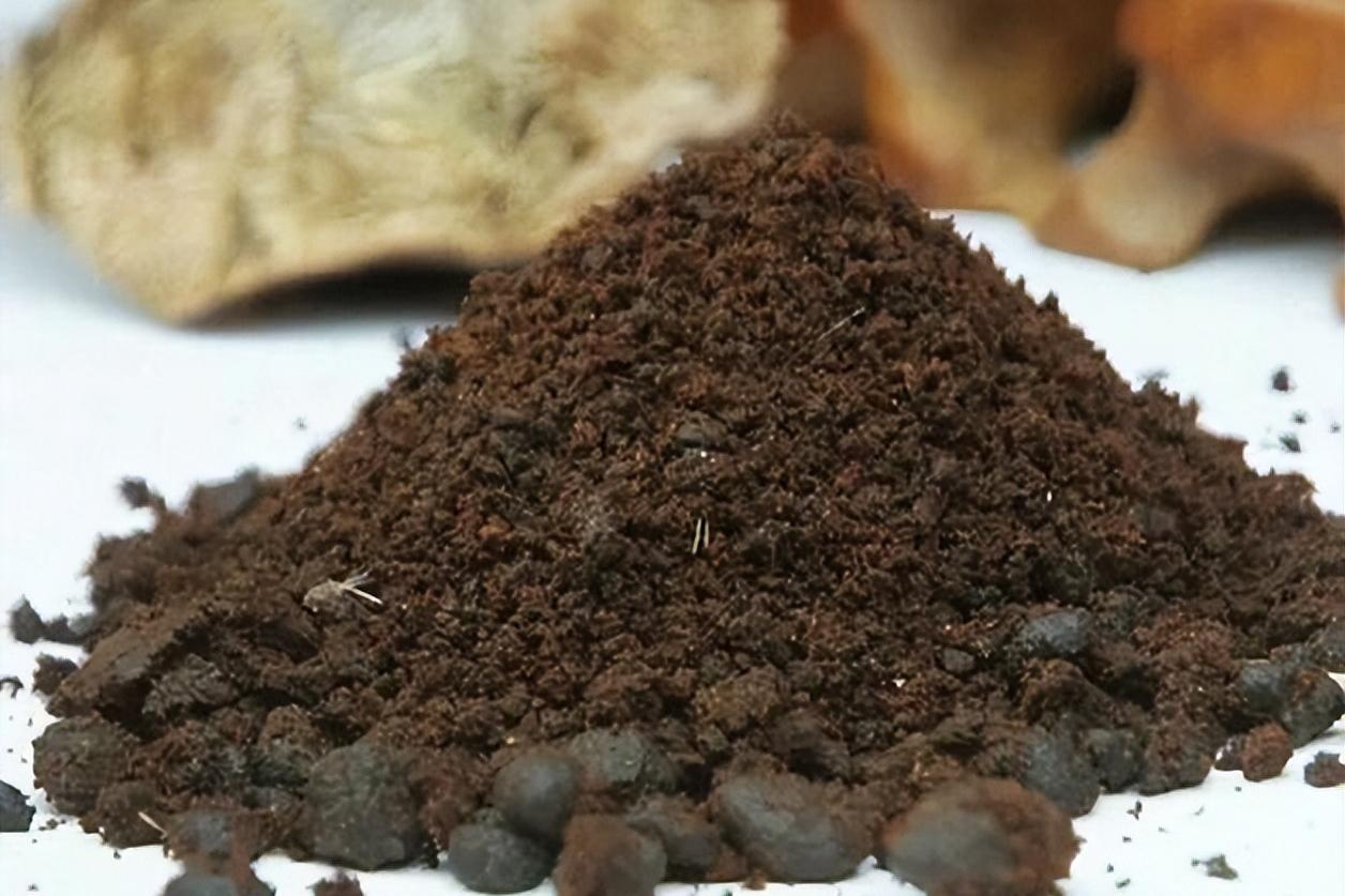 宋代时期的徽墨制墨名家,明代制墨工艺