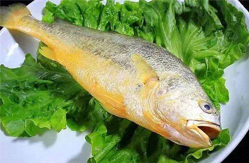 海鲜种类排名前十有哪些,十种海鲜排行榜最新