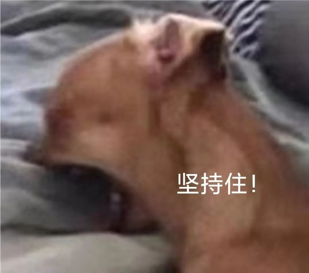 2024中考体育满分攻略,2023年体育中考满分多少