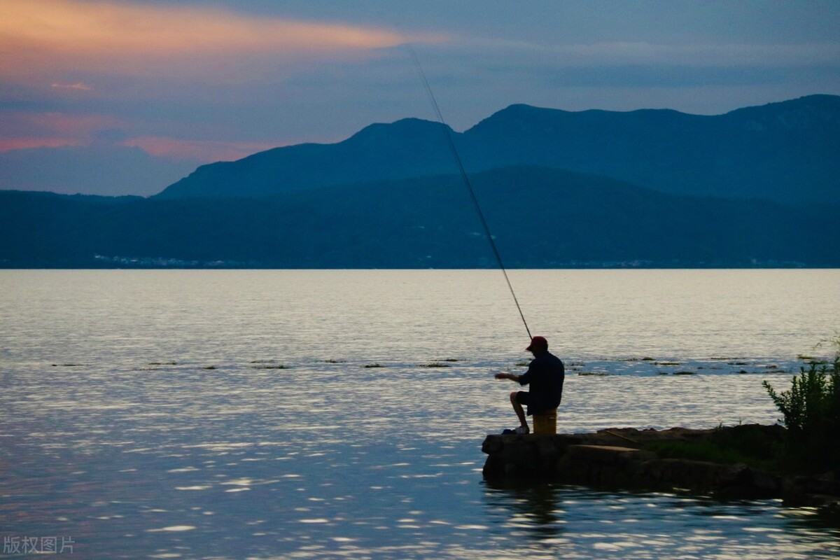 玉米野钓技巧和方法,野钓用玉米怎么钓鱼效果最好