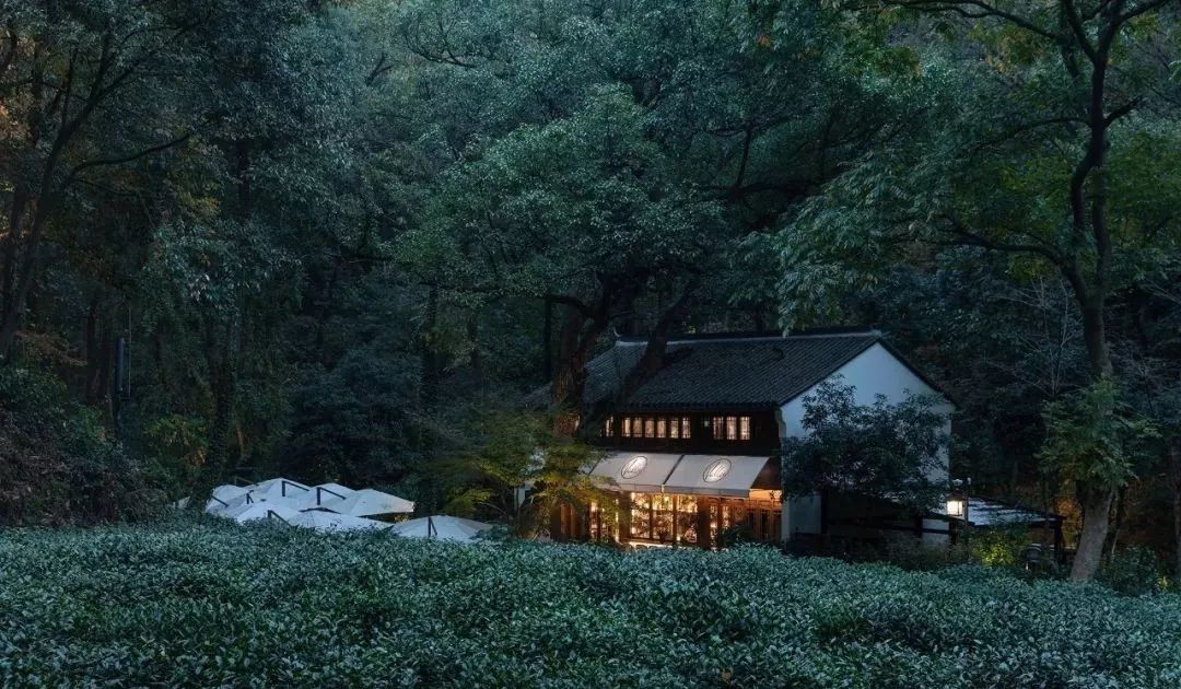 民宿投资建议,民宿值得投资的项目