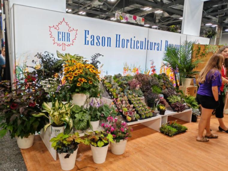 美国最大的农业产品展会,美国最顶级盆景展