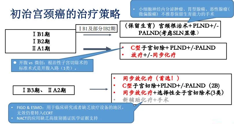 安菊生治疗宫颈癌,nccn宫颈癌指南解读
