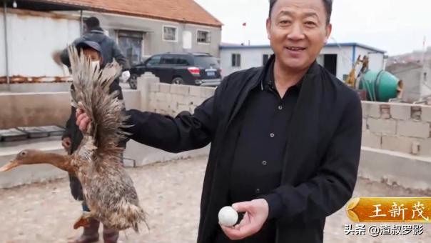 男子50元买海鲜发现是海洋活化石,一男子花10万买海参后续