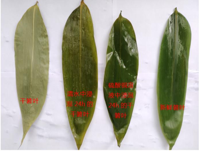 绮界鍜岀步鍙剁殑鍖哄埆,鍥涙柟绮界敤鍝绮藉彾