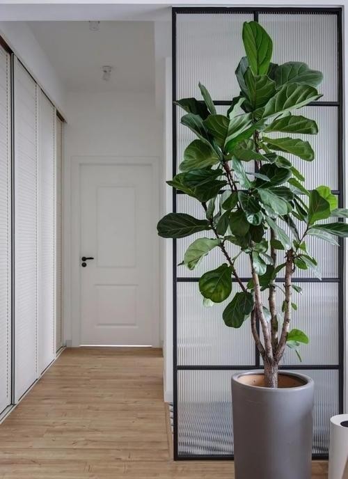 入户门对卧室的门好不好,入户门对卧室门好不好