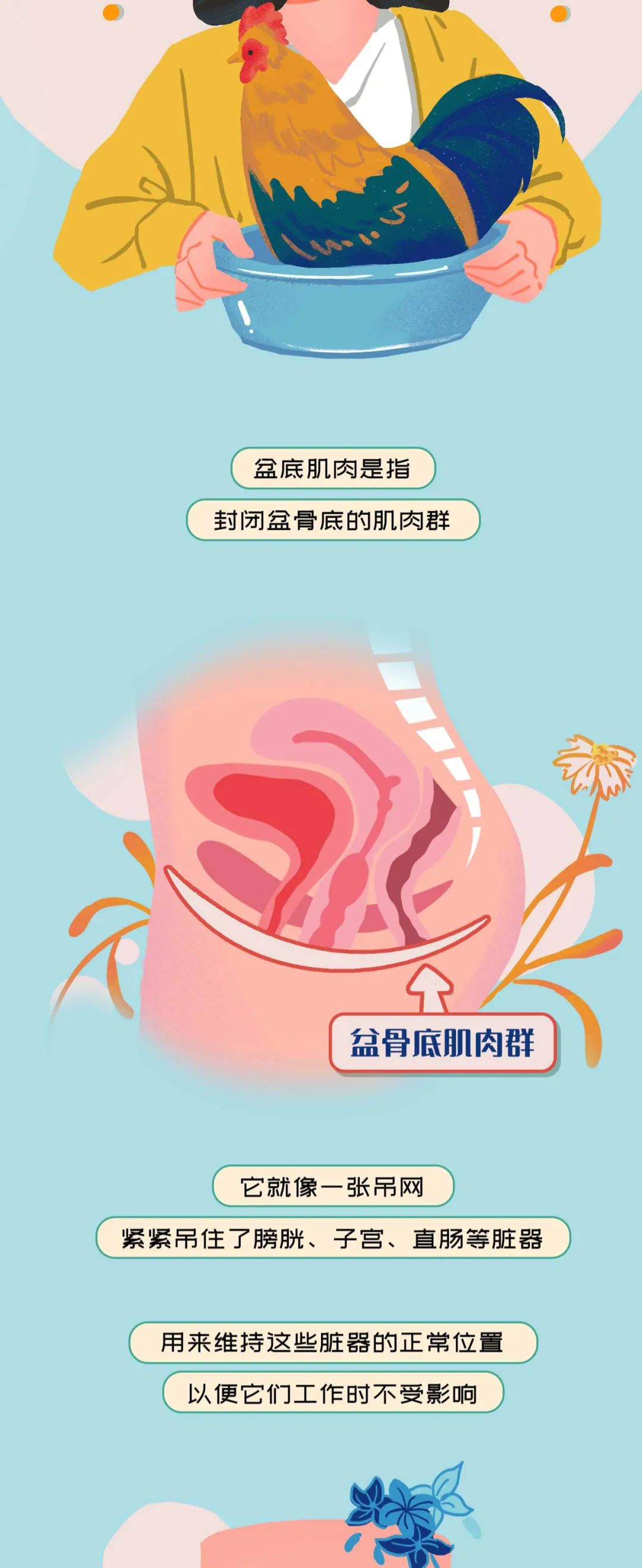 被误解的腘绳肌,被误解妇科疾病有哪些