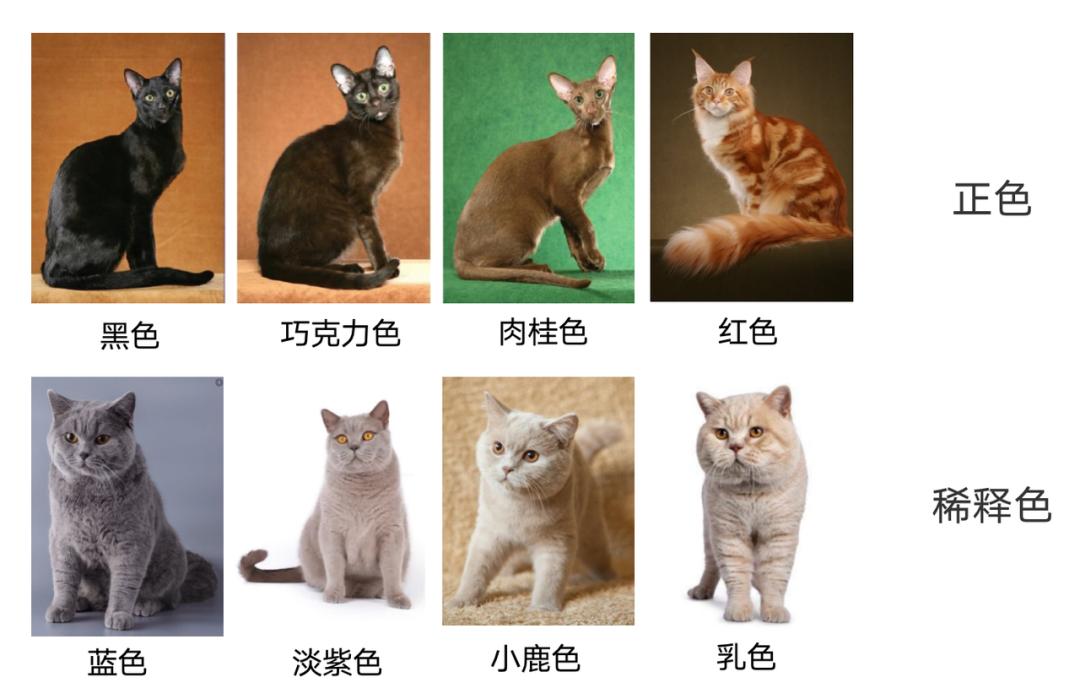 基因技术重大突破,基因科技的重大突破