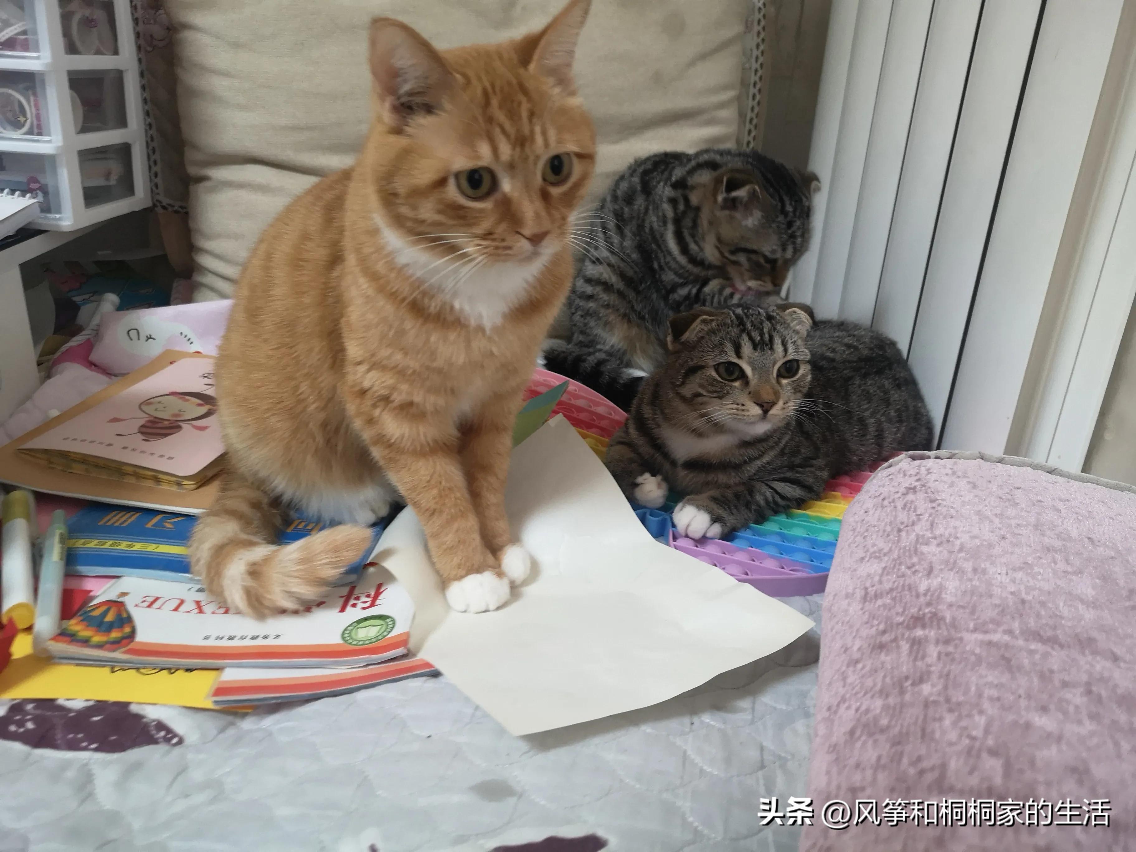 双11快递取消了吗,明明已经放开了为什么又不开心了