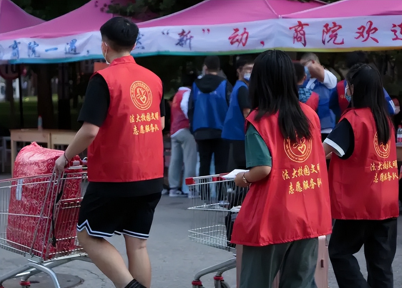 文科专业有哪些以及就业前景,文科什么专业就业前景好