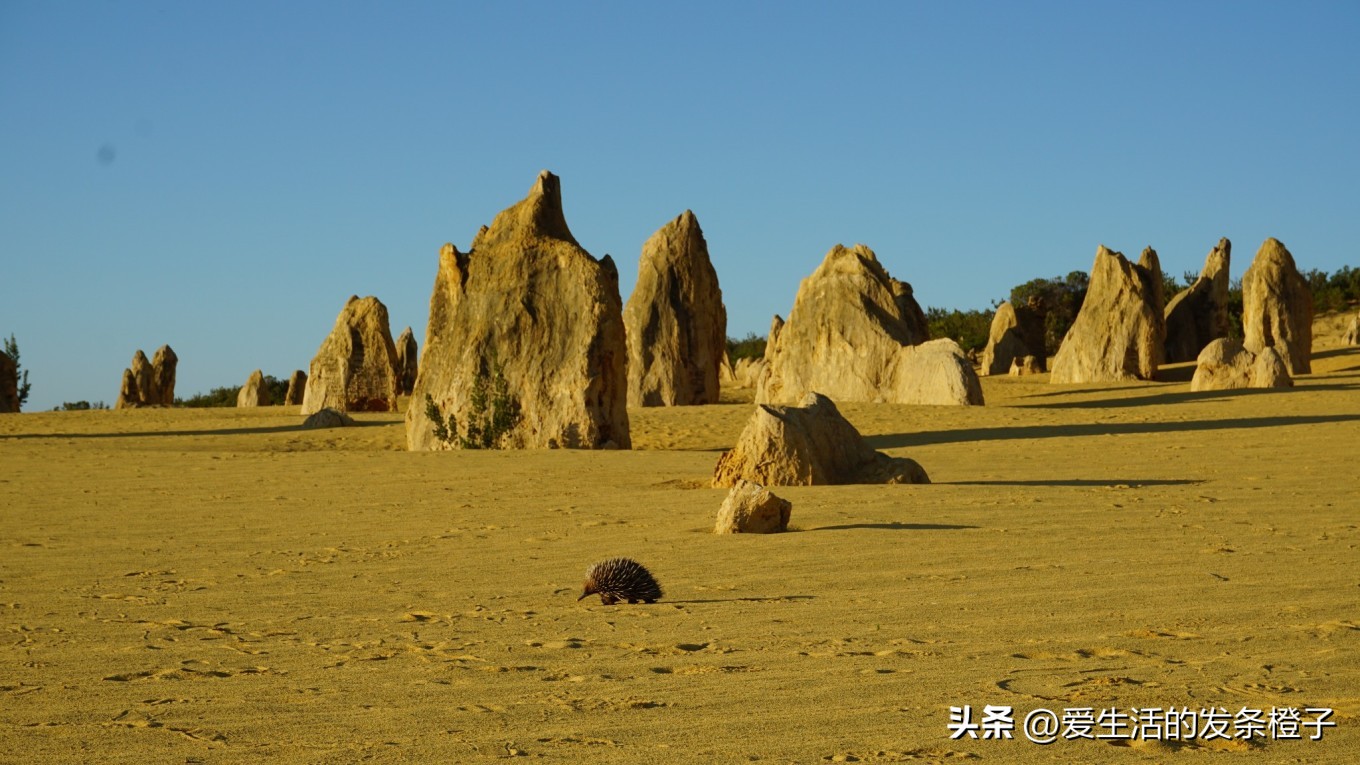 一路向北全程1980公里,西澳自驾游最佳路线图