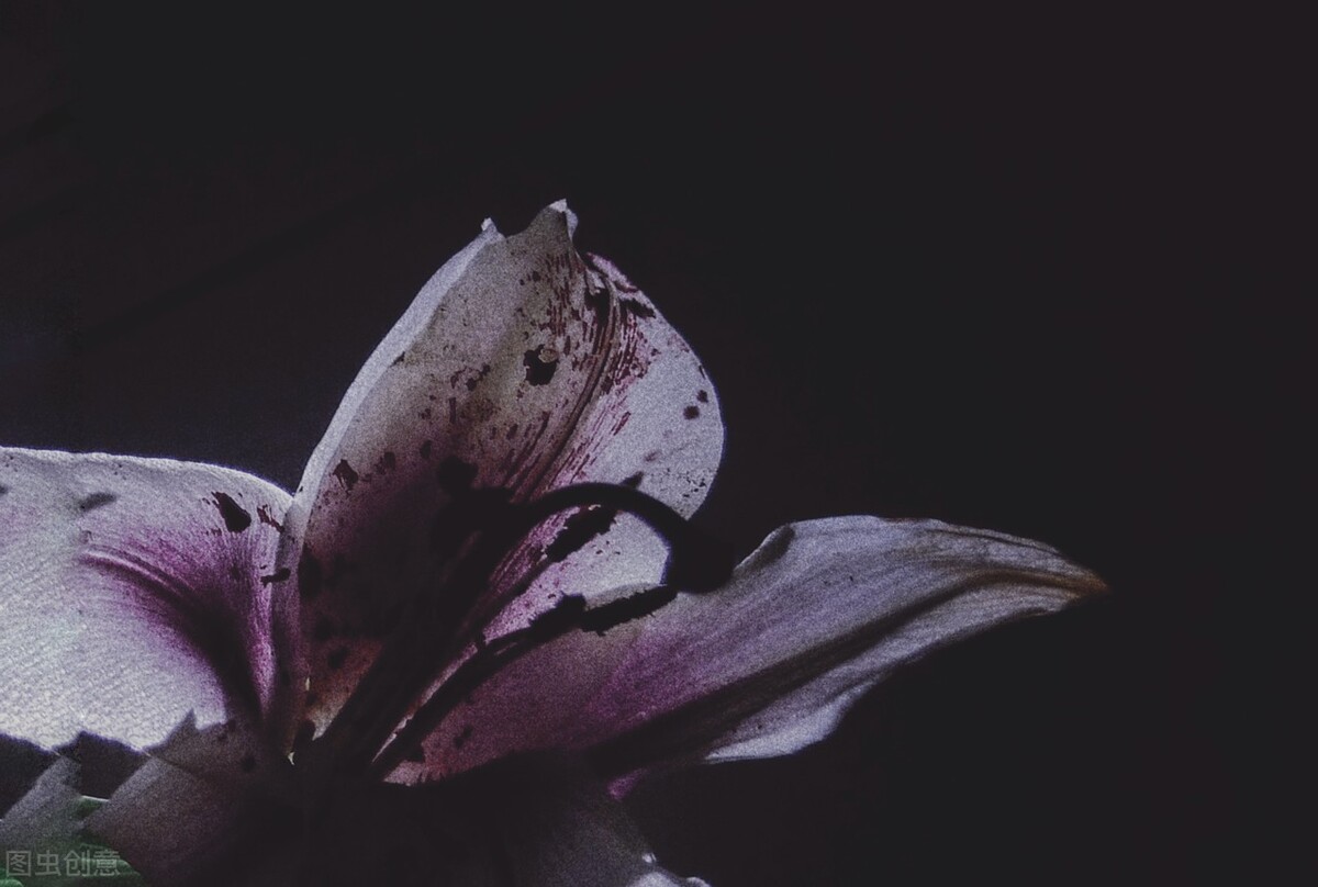 遭遇家庭*力暴**，我这样解决，老公终于不再动手，彻底改掉*力暴**行为