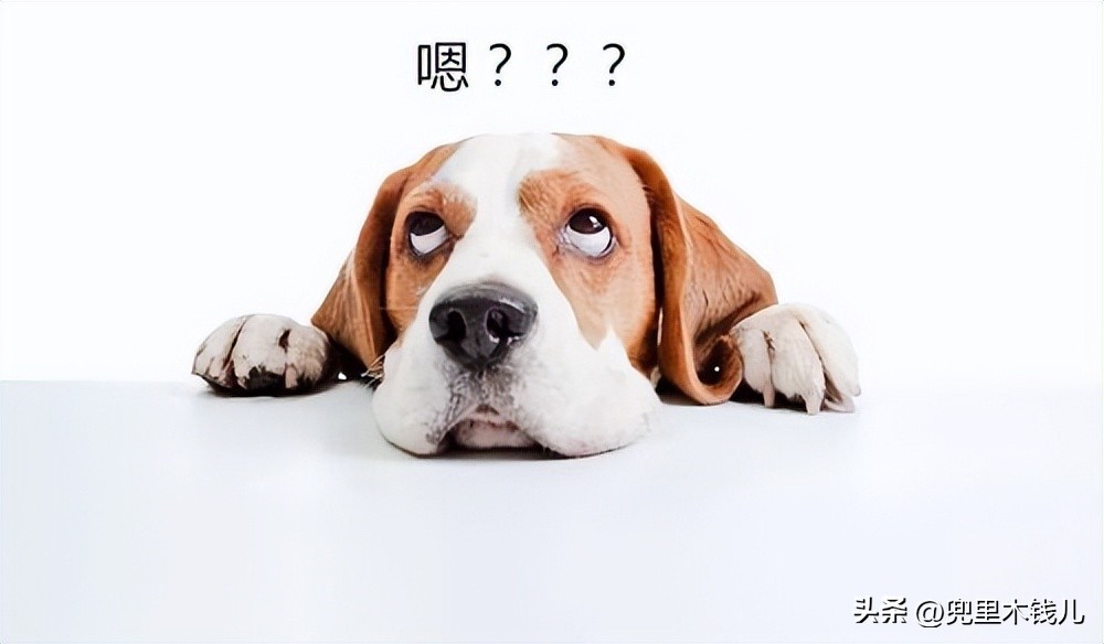 荣耀Magic5系列最新版7.1.0.153目前存在的bug