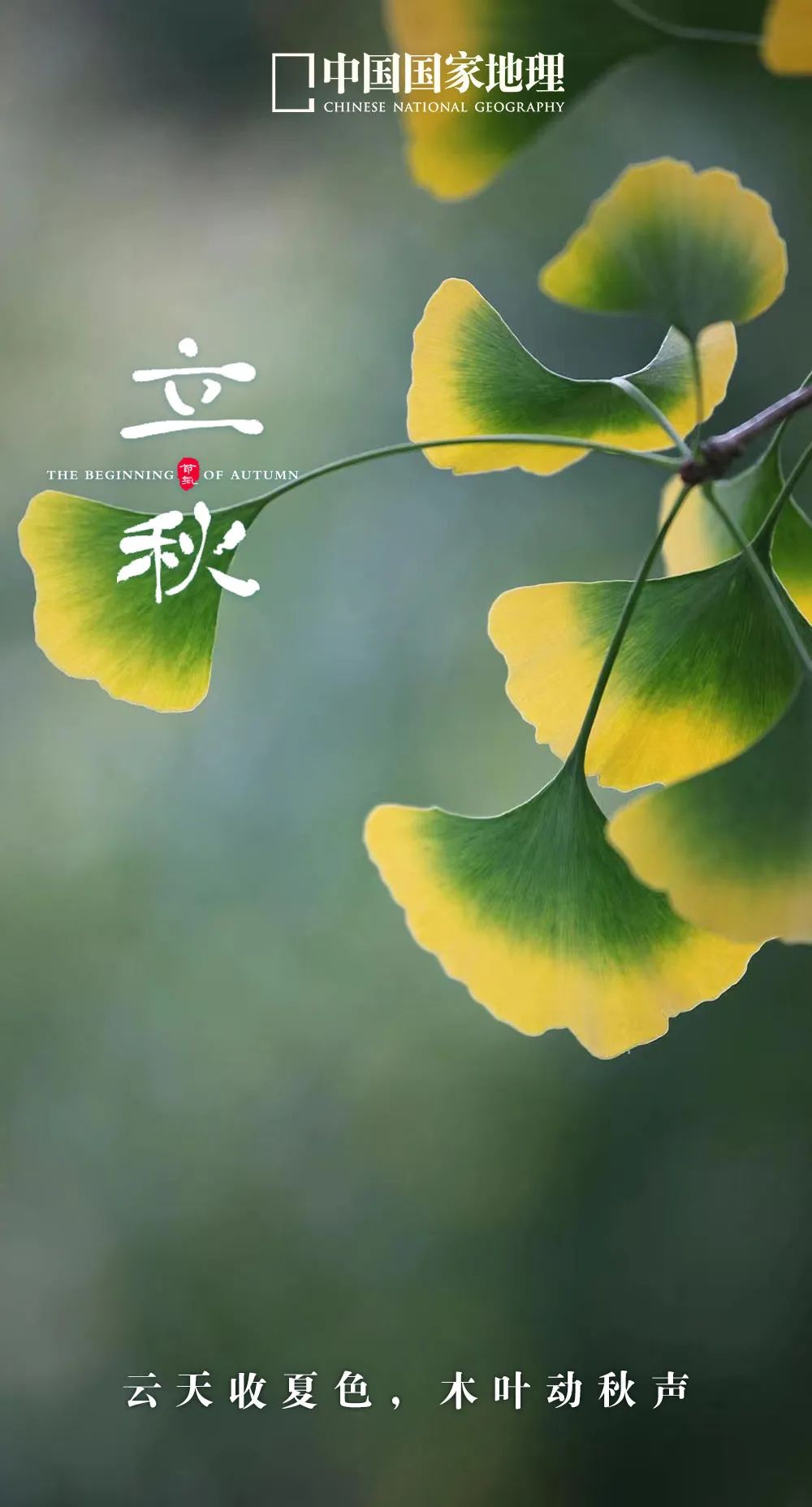 365天最美24节气图诞生惊艳国人,这组24节气图太美了