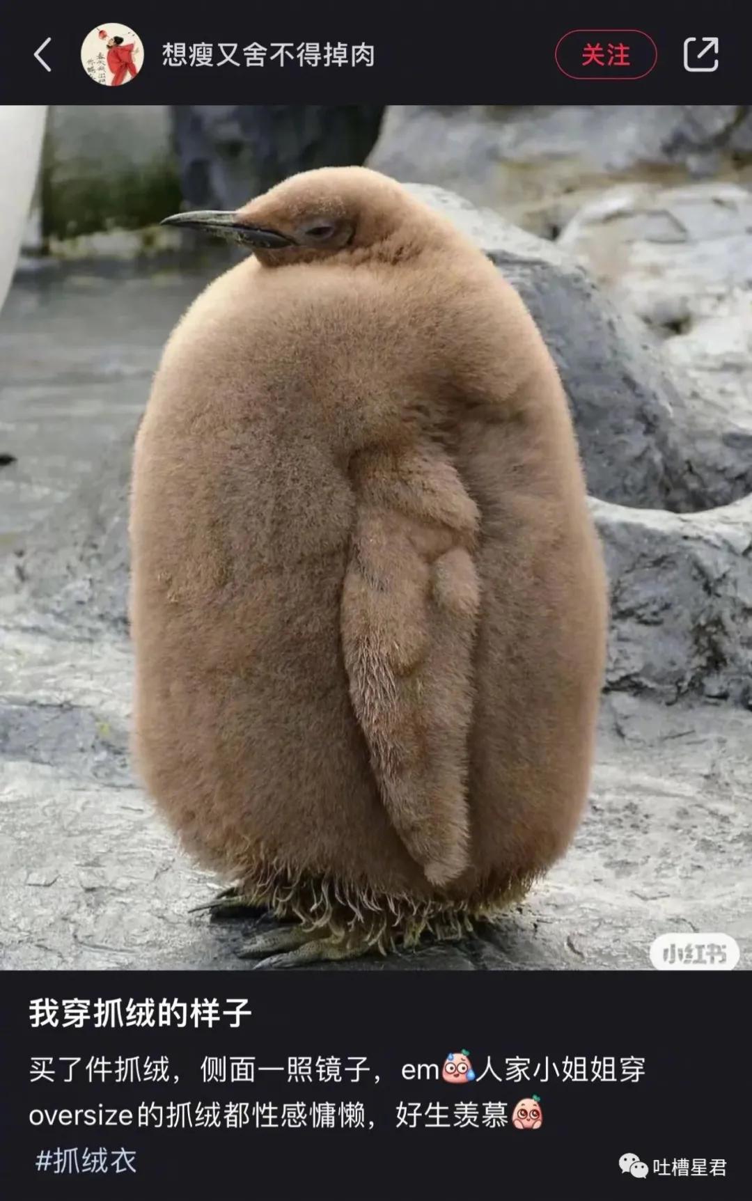 “千万！不要乱买东北风性感制服…”哈哈哈哈试穿后过于刺激