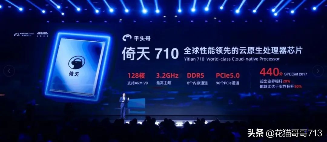 猫哥俄罗斯,猫哥在俄罗斯最新视频