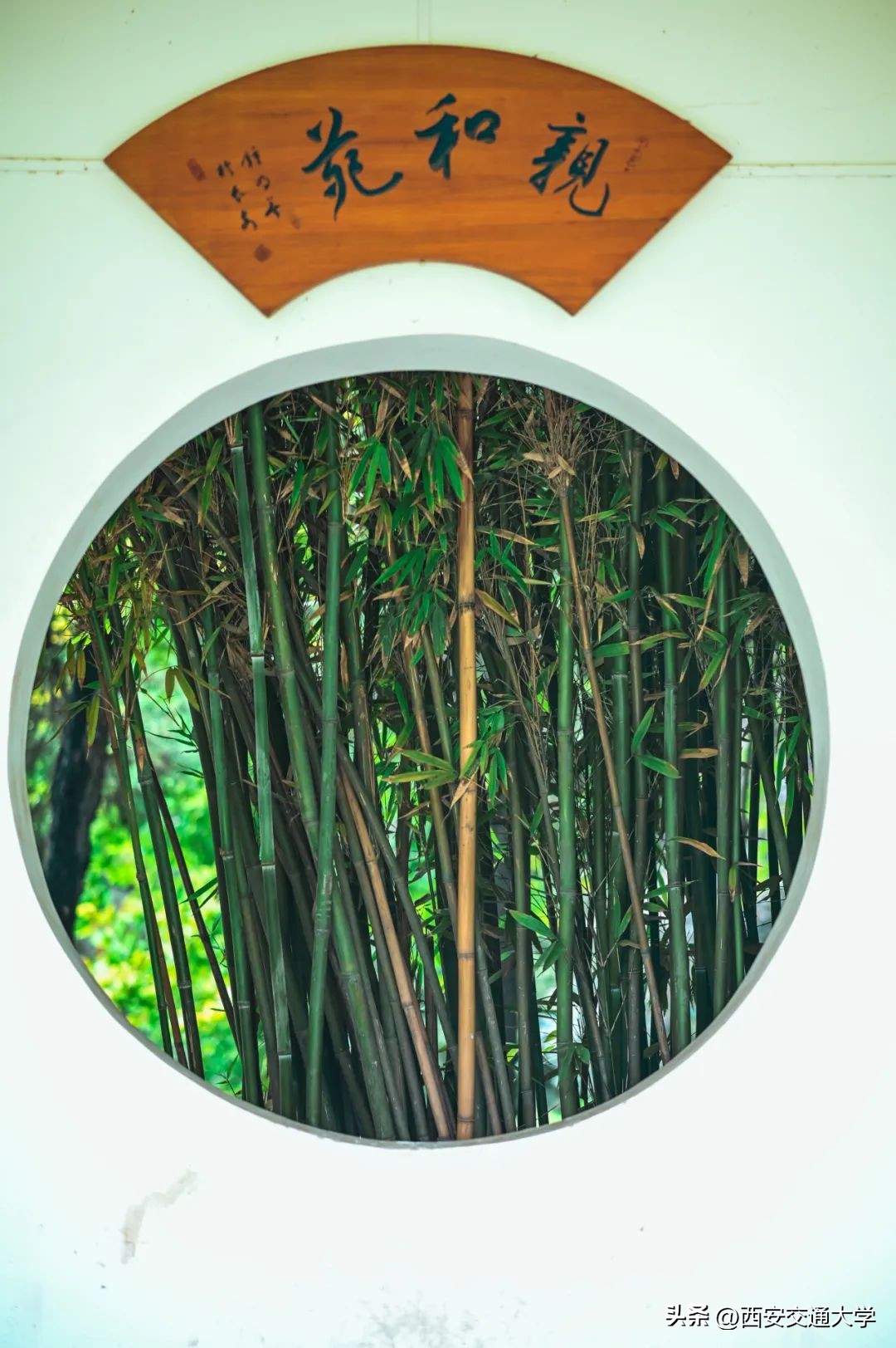 交大的校园，一眼心动！